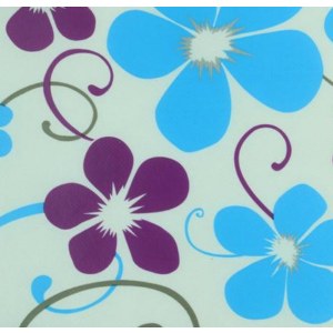 film laminationprinting nonwovens